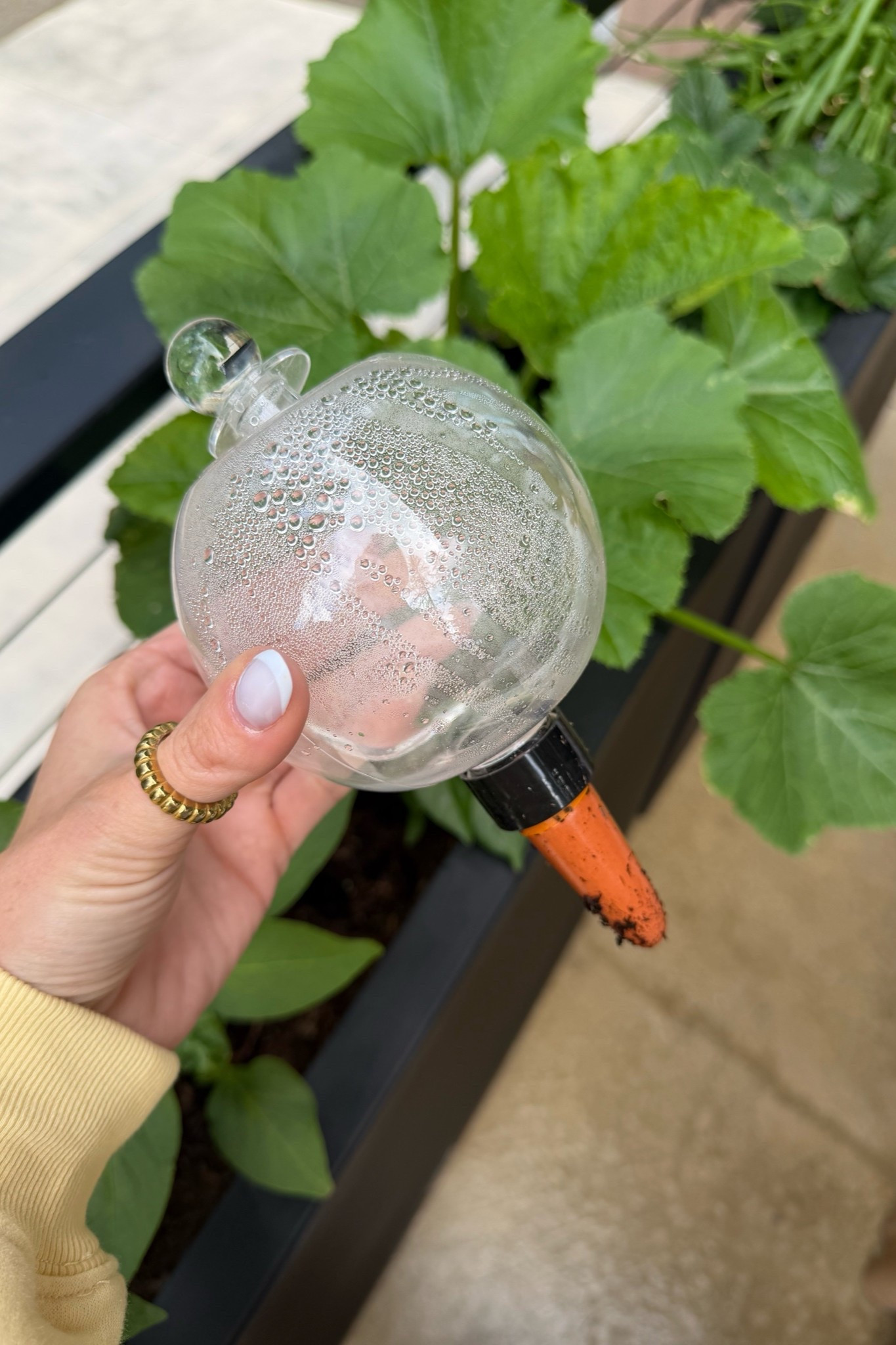 These watering globes have been working overtime on my plants at the cabin!

#LTKSeasonal #LTKfoodie #LTKHome