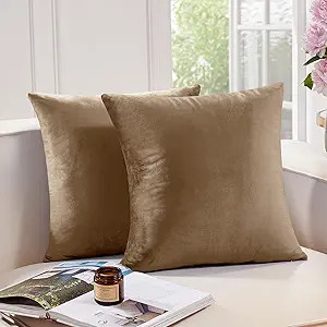 Deconovo Decorative Velvet Throw Pillow Covers for Sofa - 20x20 in, 2 Pcs, Tobacco Brown | Amazon (US)