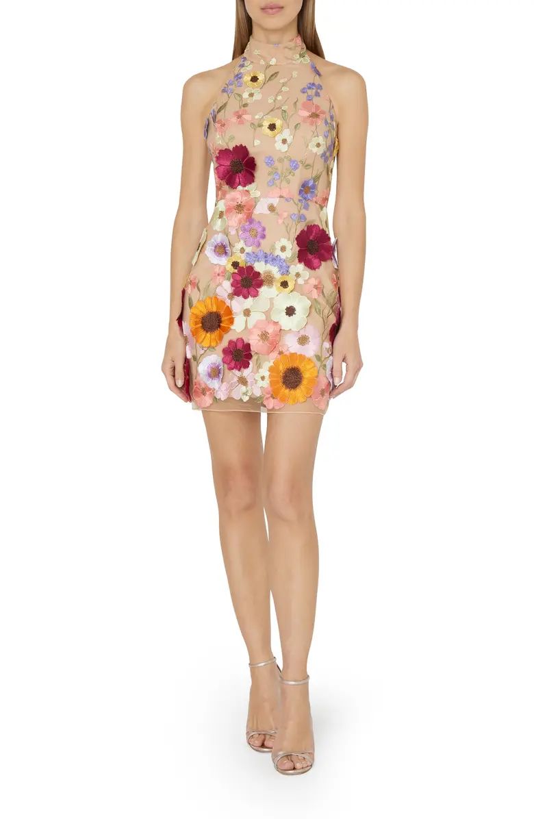 Harriet Floral Embroidery Halter Neck Dress | Nordstrom