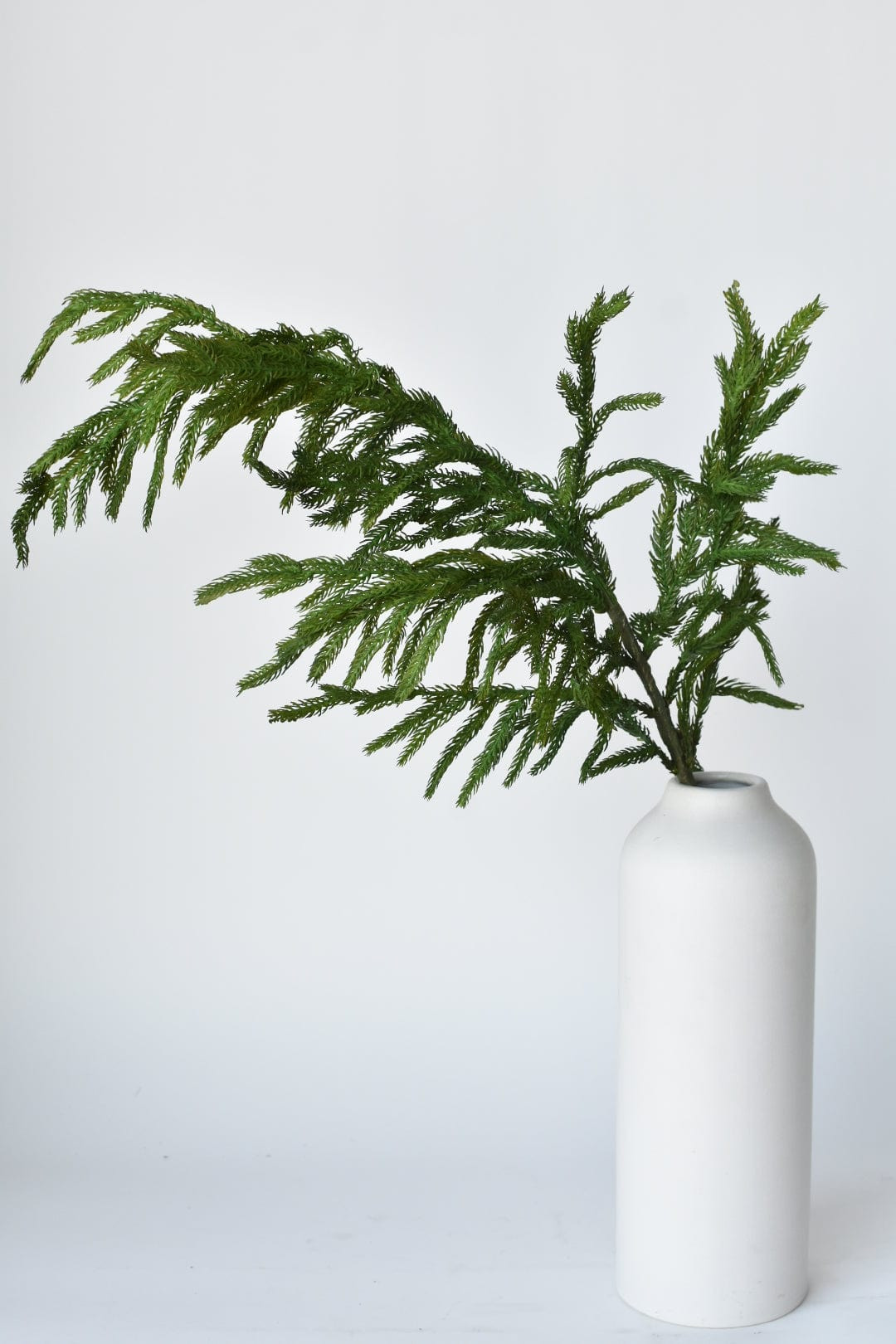 36" RealTouch Norfolk Pine Spray Stem | HouseFloral