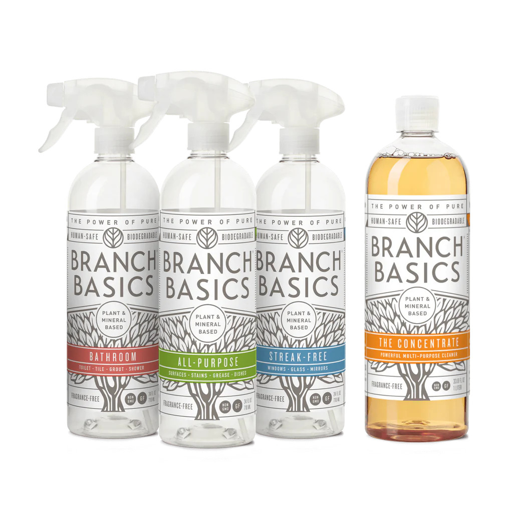 Cleaning Essentials Kit in Glass | Branch Basics