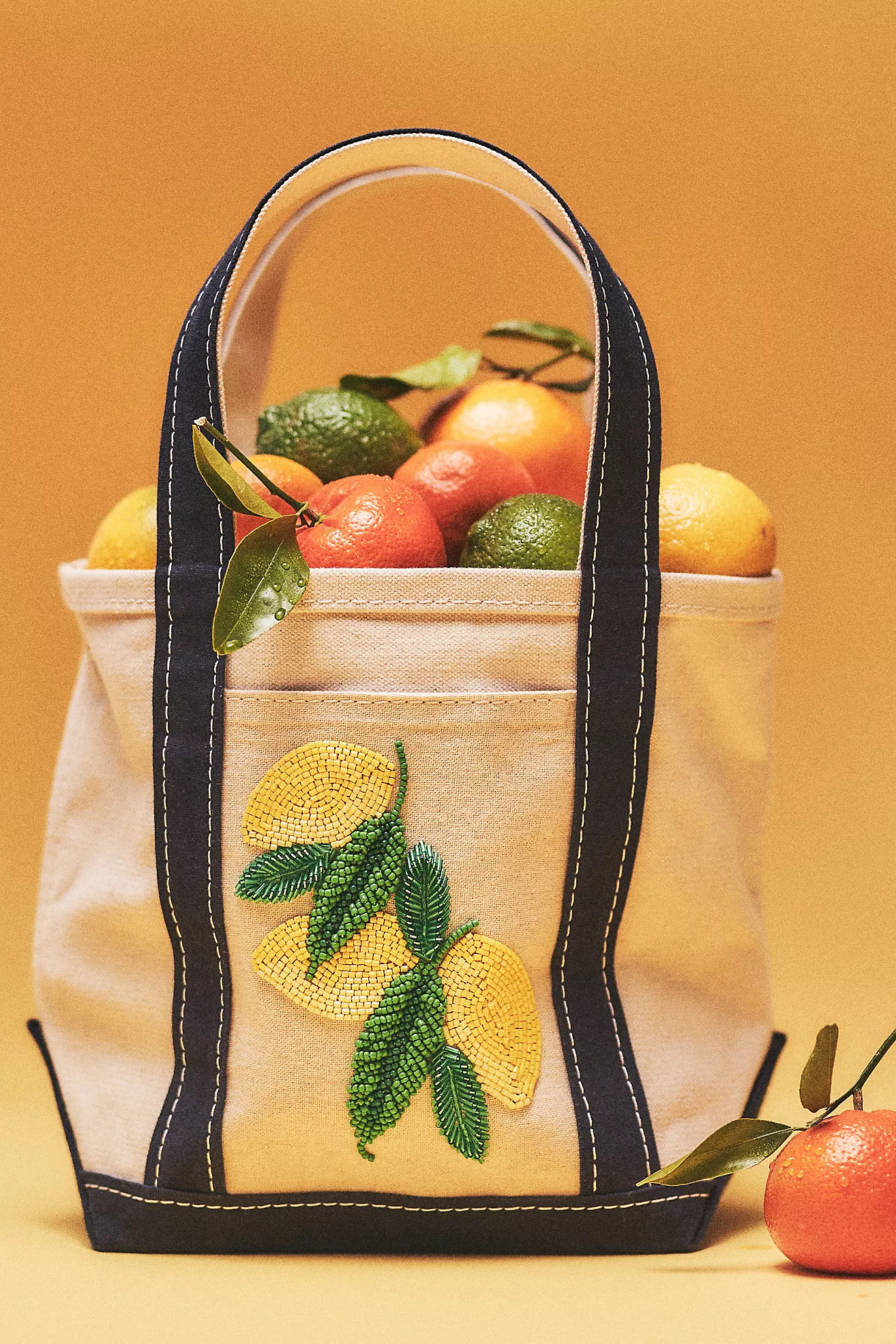 Beaded Canvas Tote | Anthropologie (US)