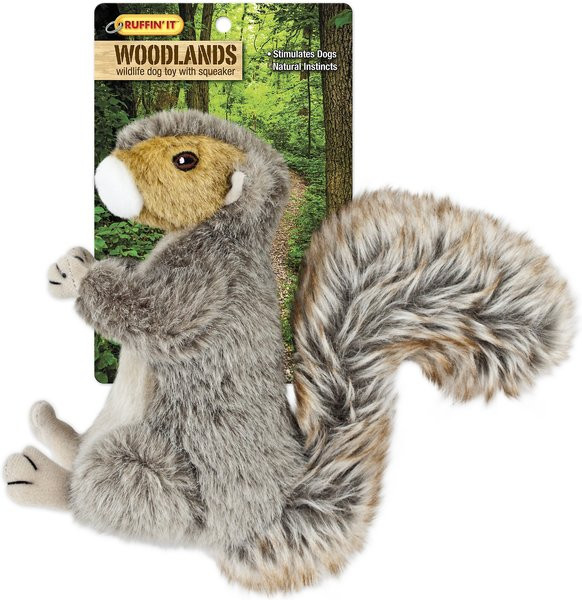 RUFFIN' IT Woodlands Squirrel Plush Dog Toy | Chewy.com
