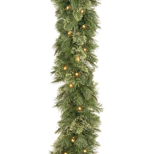 National Tree 9 Foot by 10 Inch Wispy Willow Garland with 50 Clear Lights (WO1-9ALO-1) | Amazon (US)