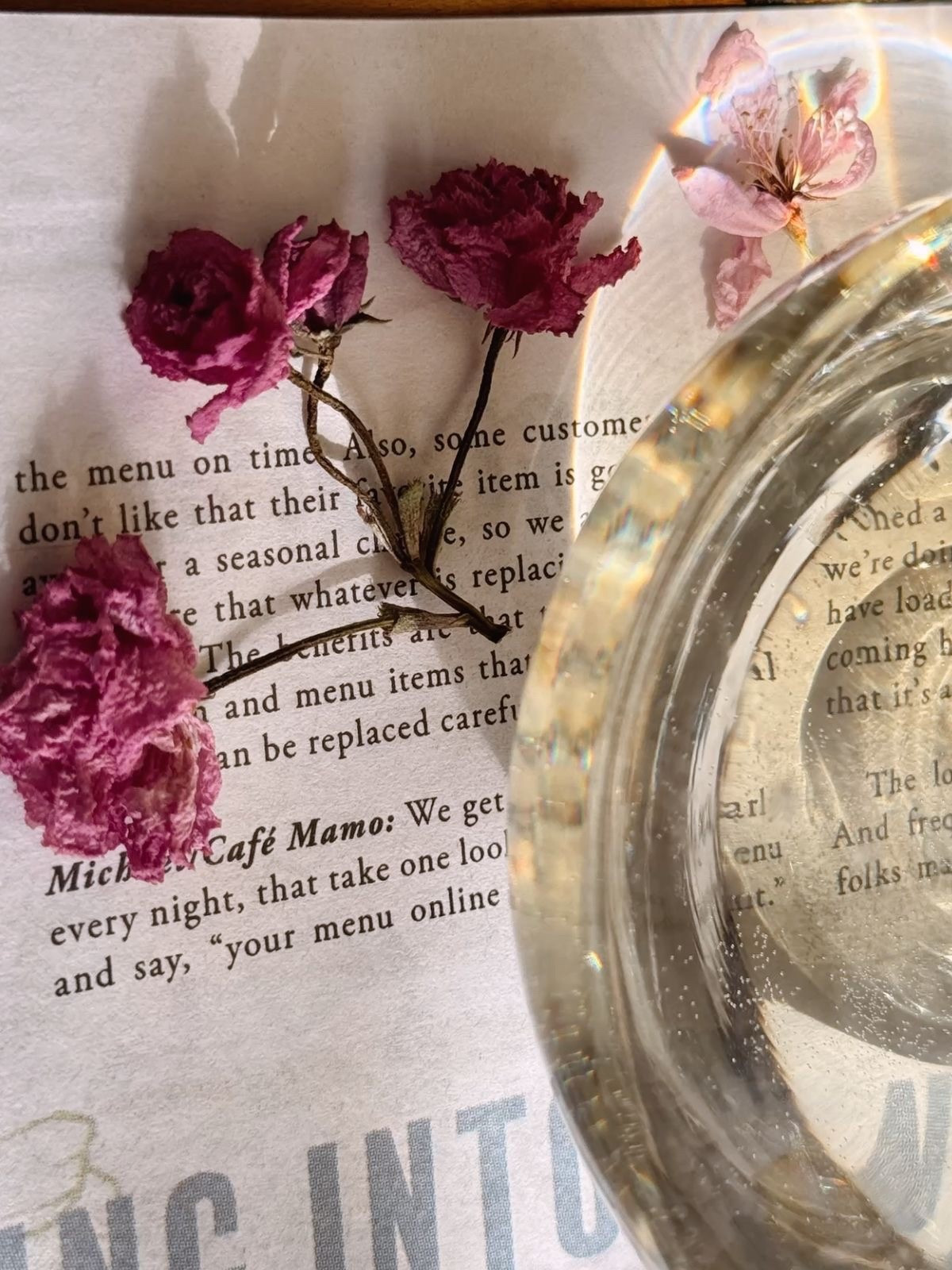 Don’t forget—Anthro has Botanicals 🥀


Looking for some Valentine’s Day inspired home decor that’s, shall we say, a little more subtle? 

Anthropologie has a TON of faux flowers & other botanical stems that have the perfect minimalist touch of L-O-V-E ♥️; 






#Anthropologie #botanics #botanicals #flowerstems #flowers #florals #fauxflowers #valentinesday #valentinesdaydecor #trending #instagram #pinterest 

#LTKSeasonal #LTKFindsUnder50 #LTKHome