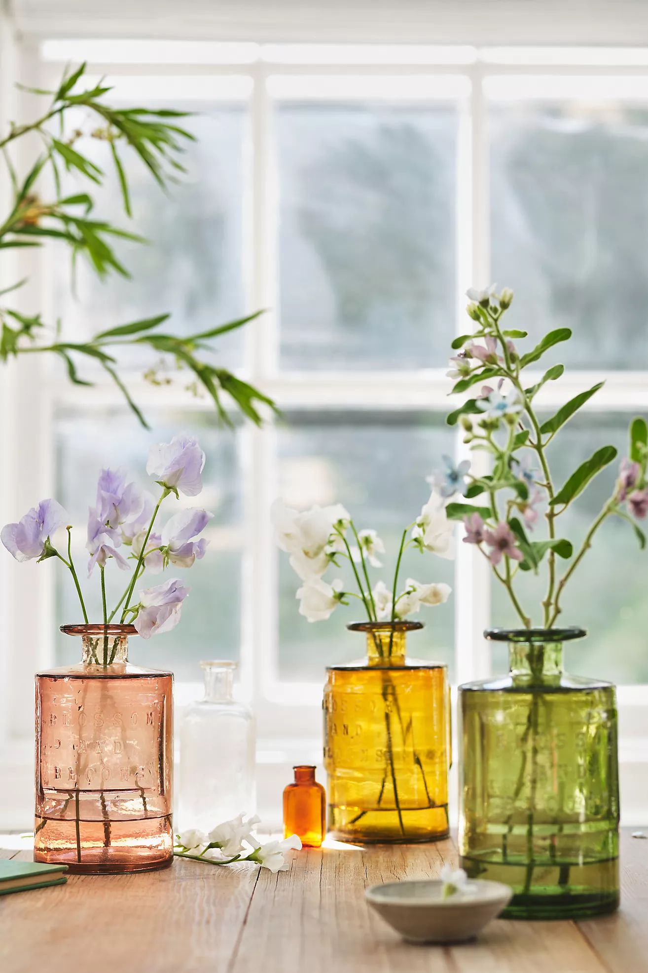 Blossom and Blooms Apothecary Jar | Anthropologie (US)