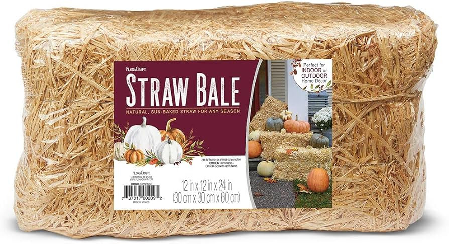 FloraCraft Straw Bale 12 Inch x 12 Inch x 24 Inch Natural | Amazon (US)