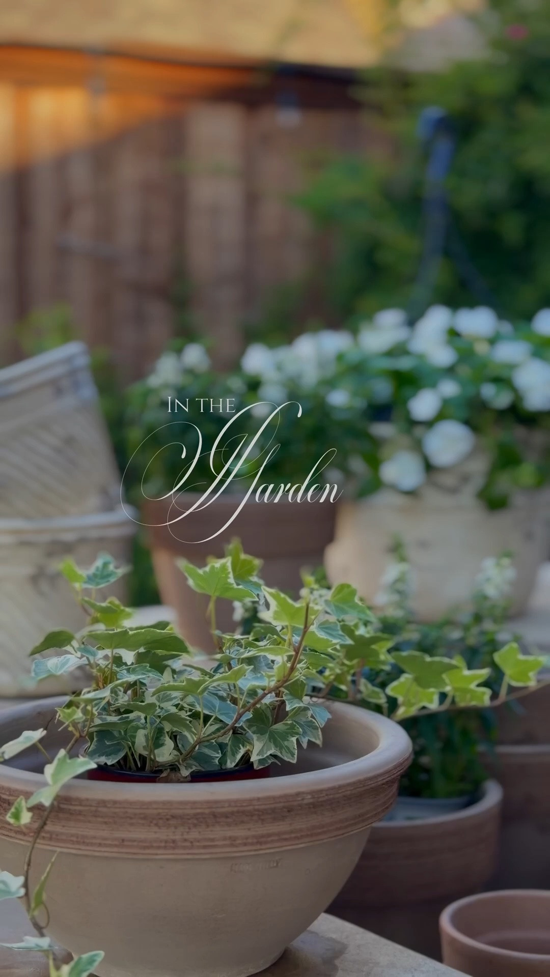 𝓟𝓸𝓽𝓽𝓮𝓻𝓲𝓷𝓰 𝓪𝓻𝓸𝓾𝓷𝓭 𝓲𝓷 𝓣𝓱𝓮 𝓖𝓪𝓻𝓭𝓮𝓷 🤍

The best collections are rarely built overnight. We gather the things we love over time, and seeing them come together makes the journey worthwhile. 
 
Here are some links to some of my outdoor planters. 🤍

ShopMy Home: Link in Bio
Shop My LTK: Link in Bio

#garden #pots #terracotta #planters #outdoor