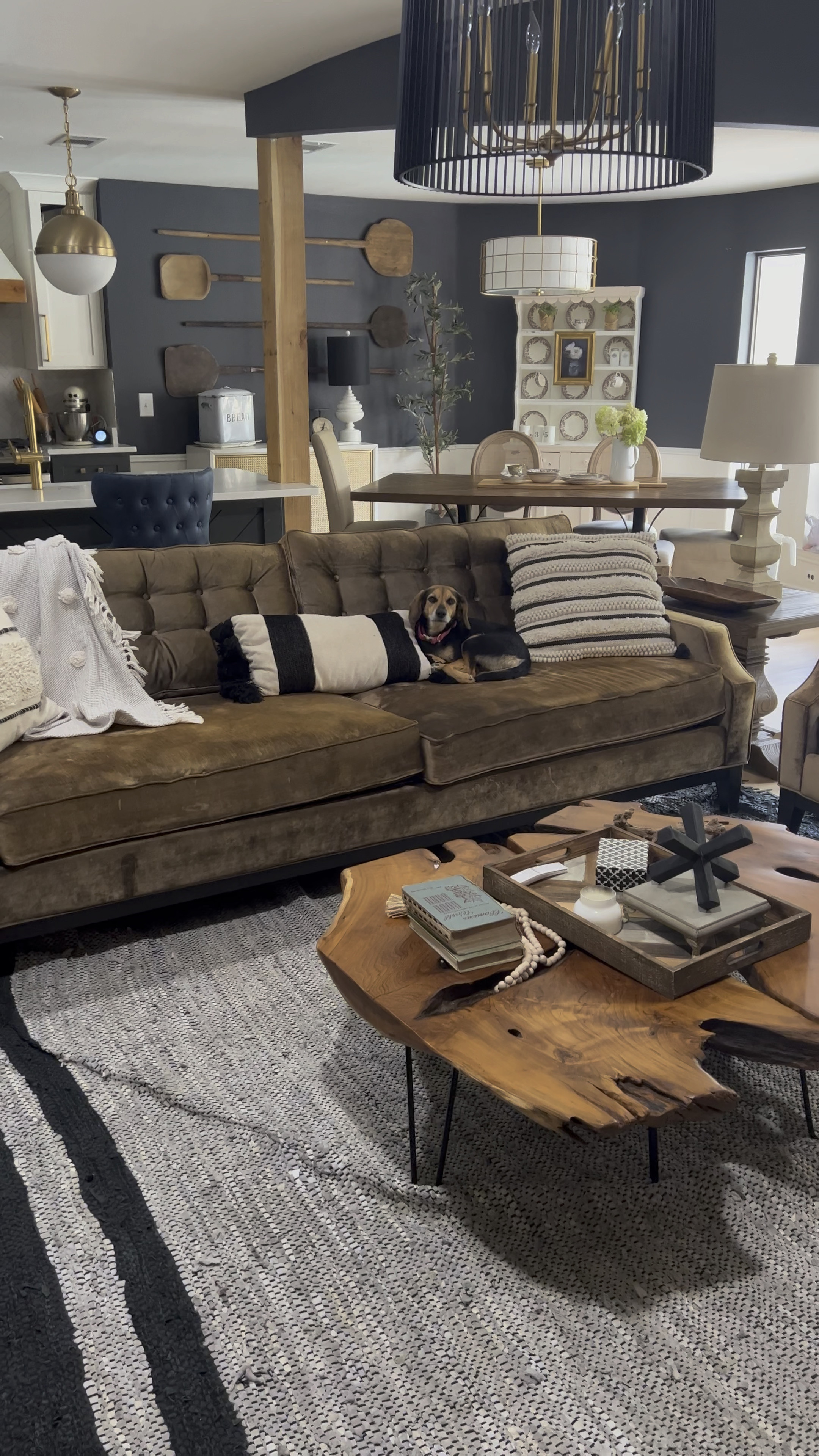 Living room furniture & decor, puppy not included 😉

Living room decor, neutral decor, neutral living room

#LTKhome #LTKunder100 #LTKFind