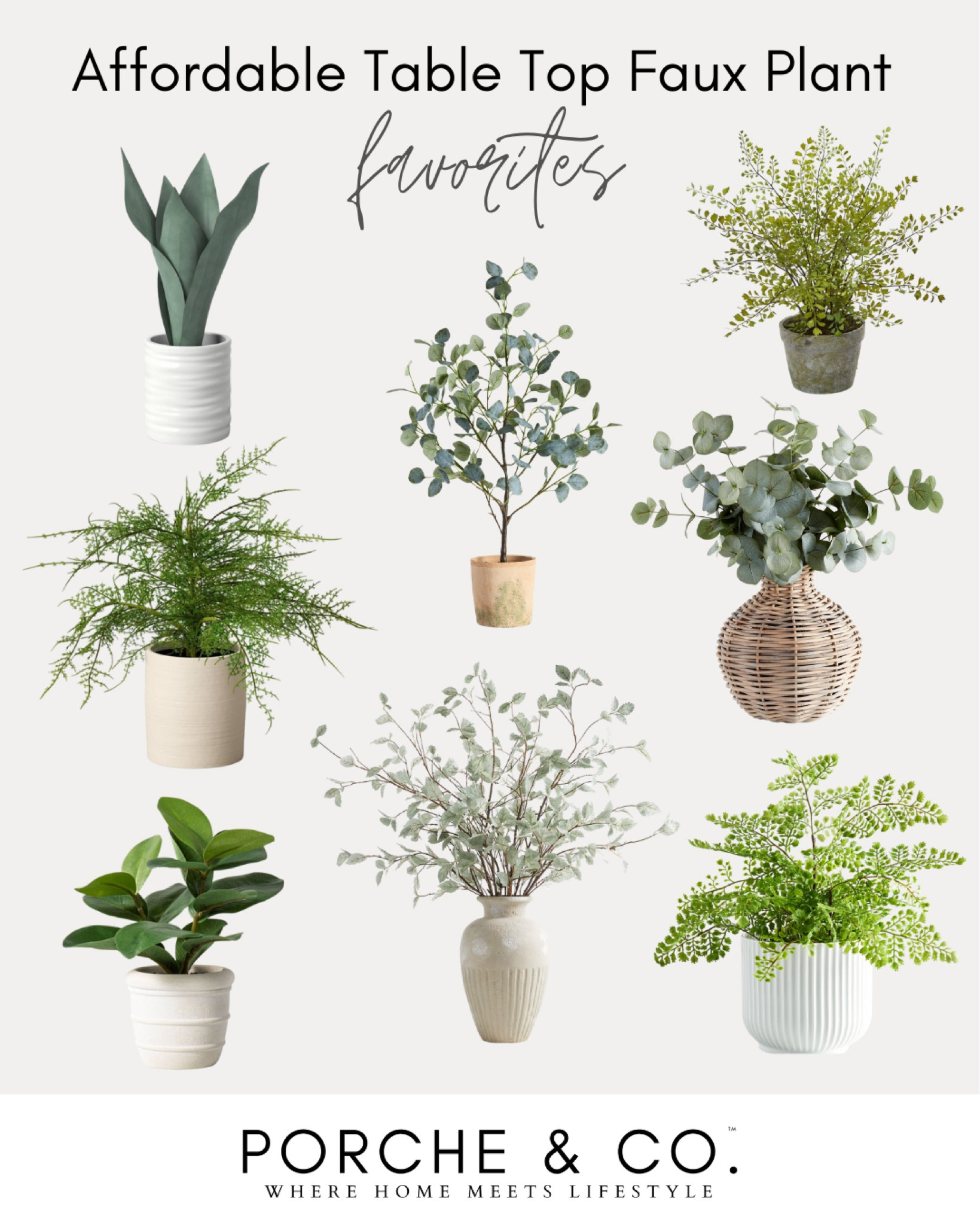 Affordable faux plant tabletop favorites for your home! Perfect for consoles, coffee tables, and bookshelf styling 🤍 #plants #faux

#LTKunder50 #LTKstyletip #LTKhome