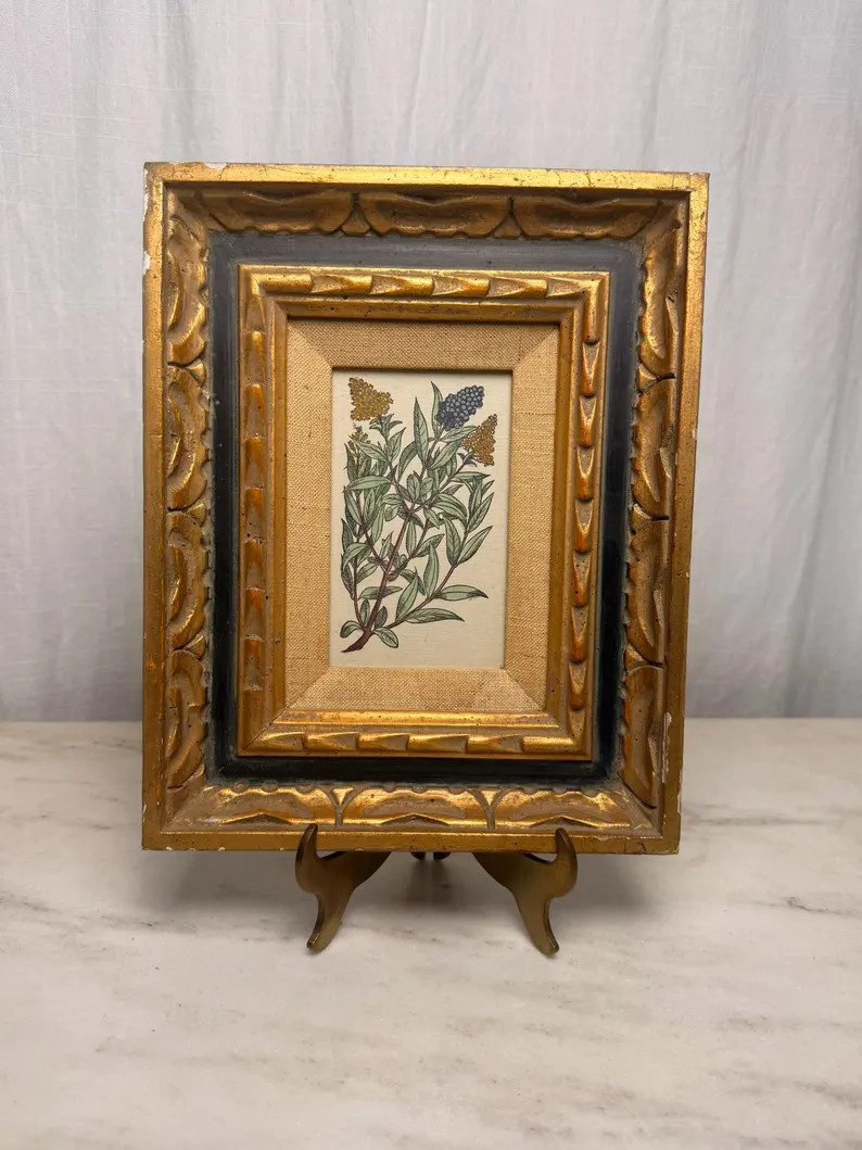 Vintage Framed Botanical Art Print, Ornate Gold Gilt Wood Frame, Cottagecore Floral Wall Decor | Etsy (Global)
