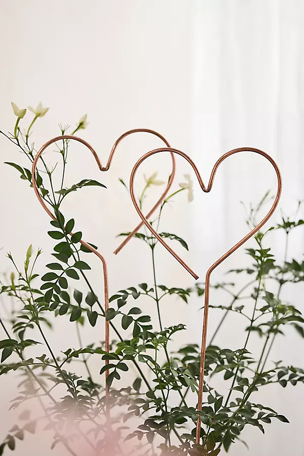 Copper Heart Stakes, Set of 2 | Anthropologie (US)