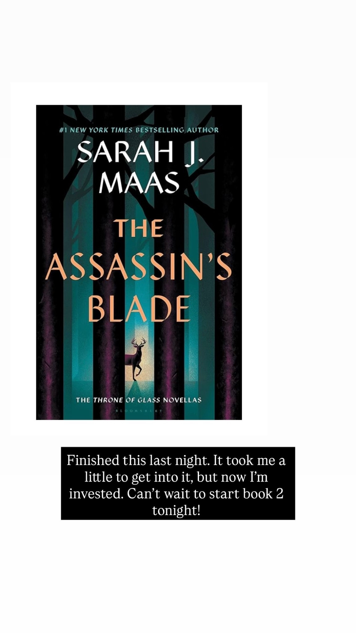 Finished this last night. It took me a little to get into it, but now I’m invested. Can’t wait to start book 2 tonight!

#LTKOver40 #LTKselfcare #LTKHome