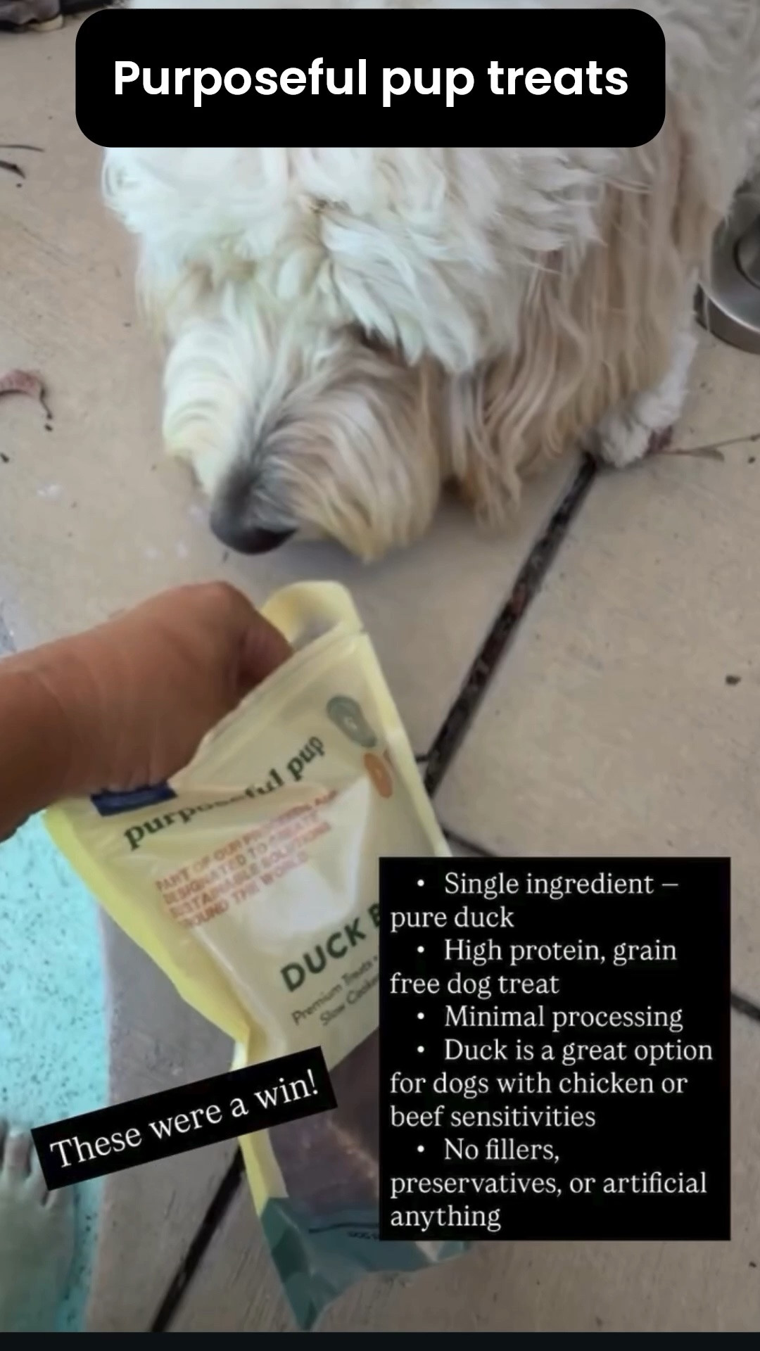 Purposeful Pup Treats

Single ingredient duck treats and my dog is absolutely obsessed. No fillers, no preservatives, no junk. Just pure duck. Because our pets deserve clean ingredients too. 

#PurposefulPup #CleanPetFood #DogTreats #LowToxPets #NaturalDogTreats #GrainFreeDogTreats #CleanLiving #LowToxLiving #HealthyPets #DogMom

#LTKmomlife #LTKfoodie