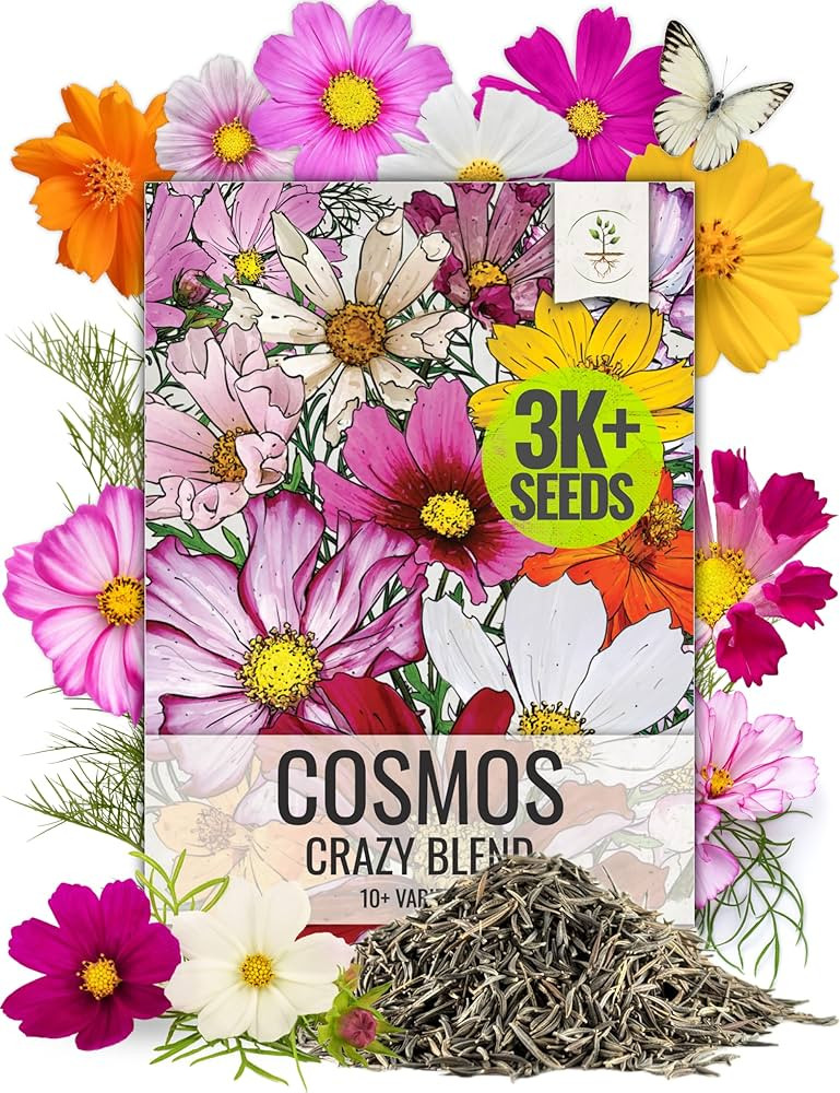 Seed Needs Cosmos Flower Seeds 10+ Varieties 'The Original Crazy Blend' | Cosmo Bipinnatus Open P... | Amazon (US)