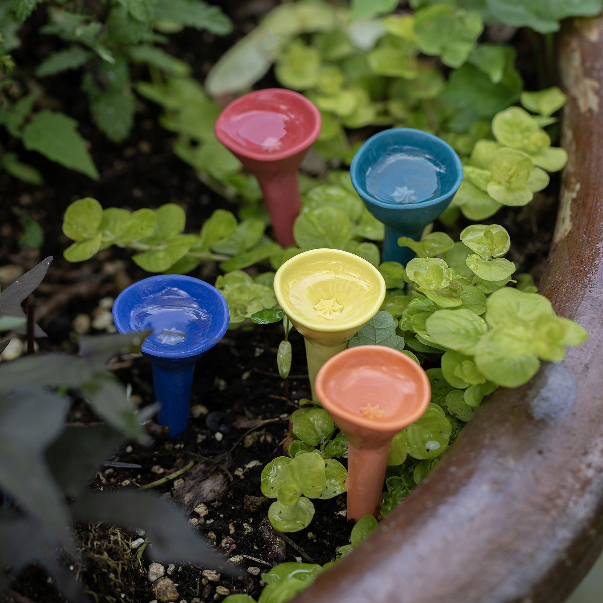 Ceramic Bee Drinking Cup - Set of 5, Bee Vision Set | UncommonGoods