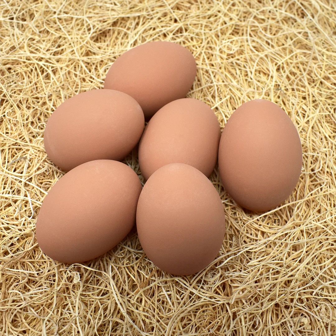 Decorative Ceramic Hen Nest Eggs (brown) - 6 pack | Etsy (US)