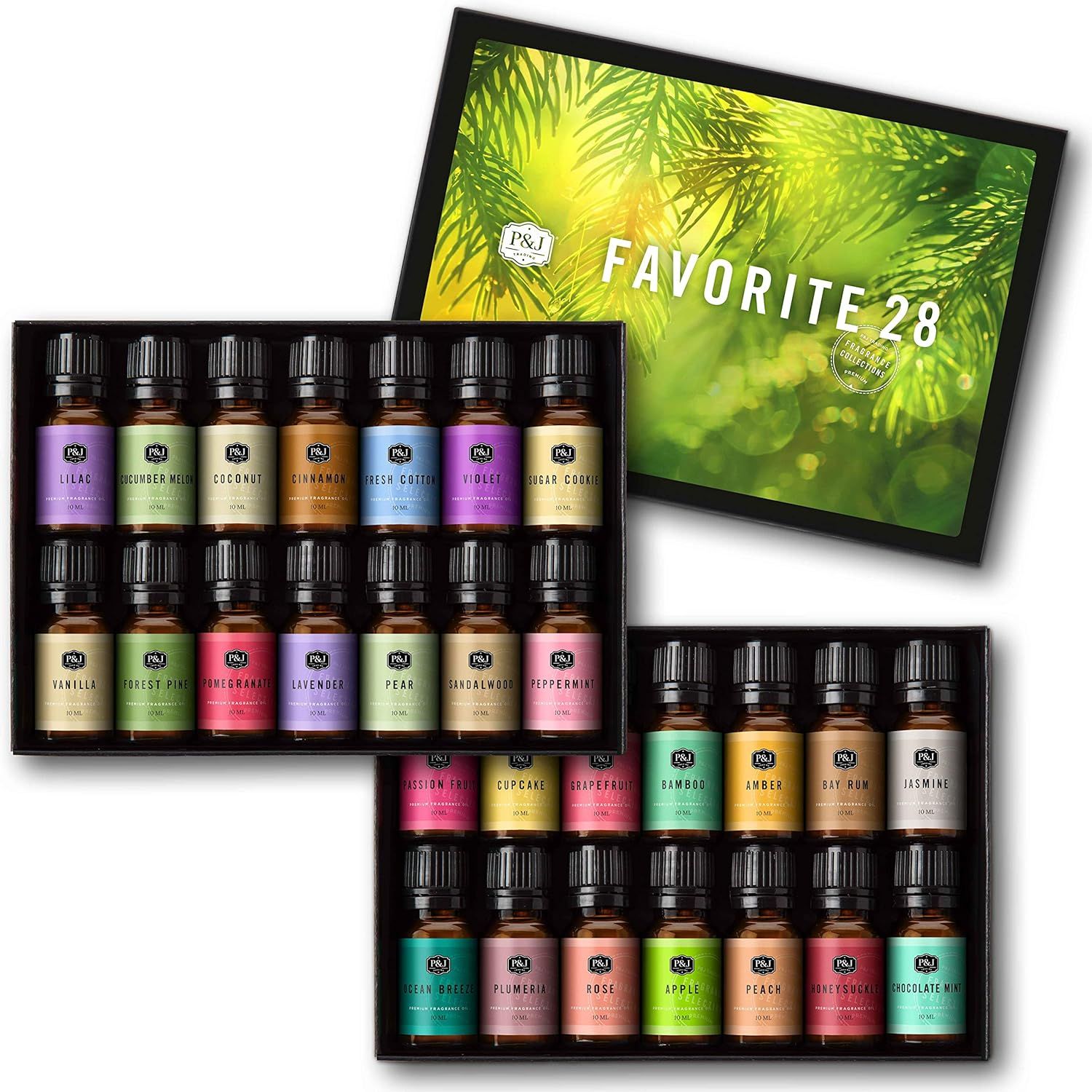 Favorites Set of 28 Premium Grade Fragrance Oils - 10ml | Amazon (US)