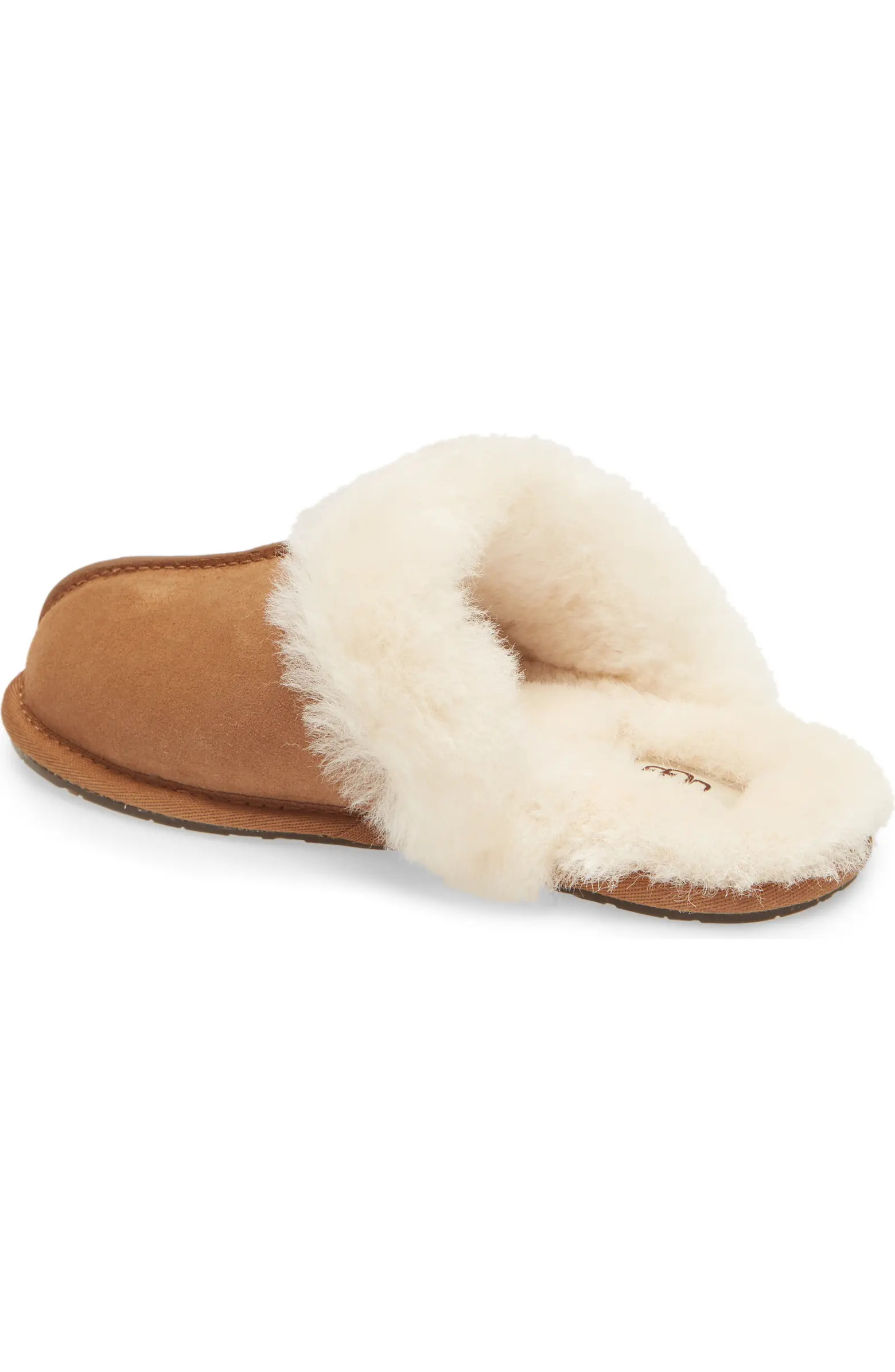 Scuffette II Slipper (Women) | Nordstrom