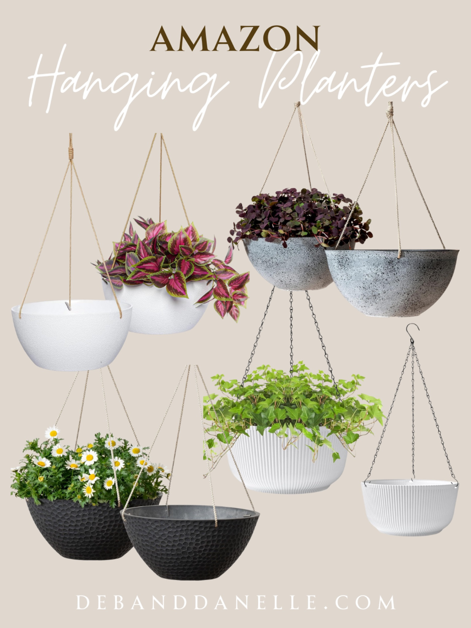 These are the items we use to hang our Boston Ferns. We use a hanging planter, a chain, and a ceiling hook. We love to load our front porch with large, green ferns! I love the color and touch of nature they add to our home. 

#LTKHome #LTKFindsUnder100 #LTKSeasonal