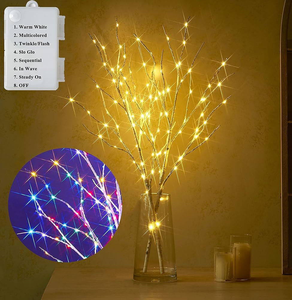 LITBLOOM Lighted Birch Branches Battery Operated with 8 Functions 30IN 100 Multi Color and Warm W... | Amazon (US)