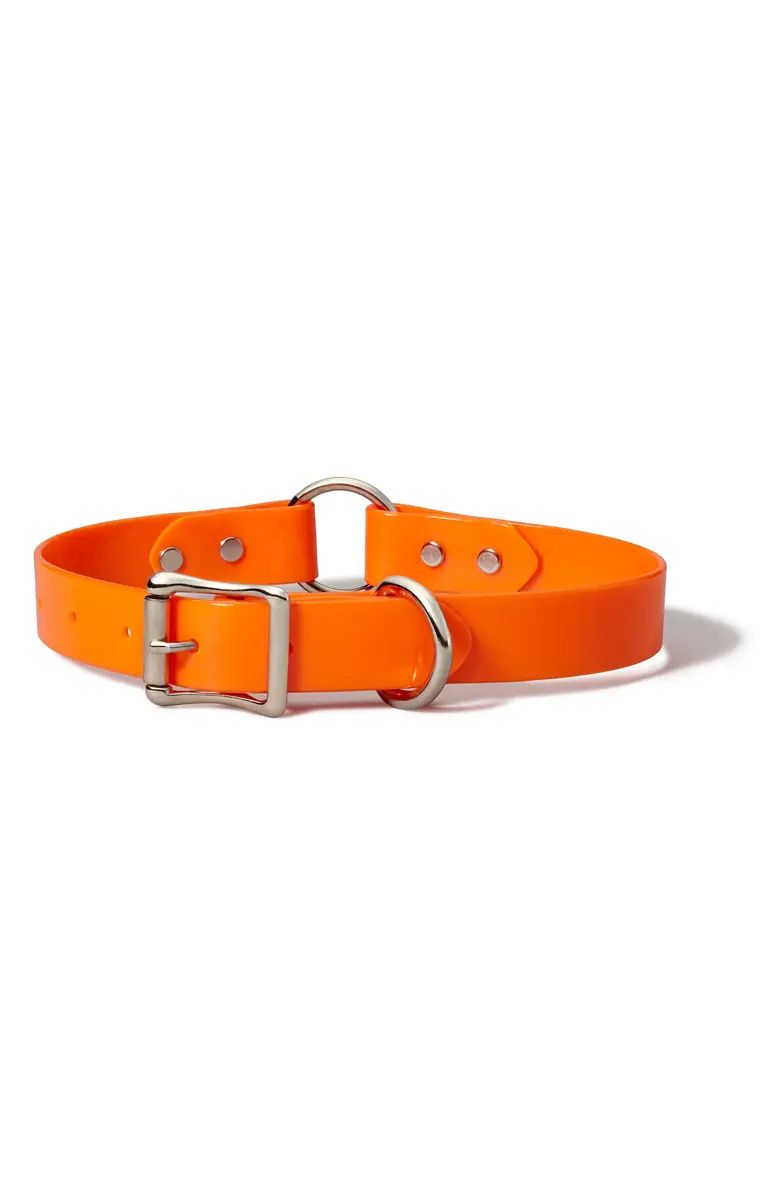 Webbing Dog Collar | Nordstrom