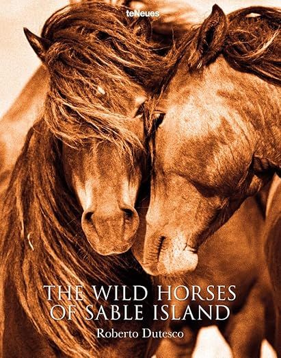 The Wild Horses of Sable Island | Amazon (US)