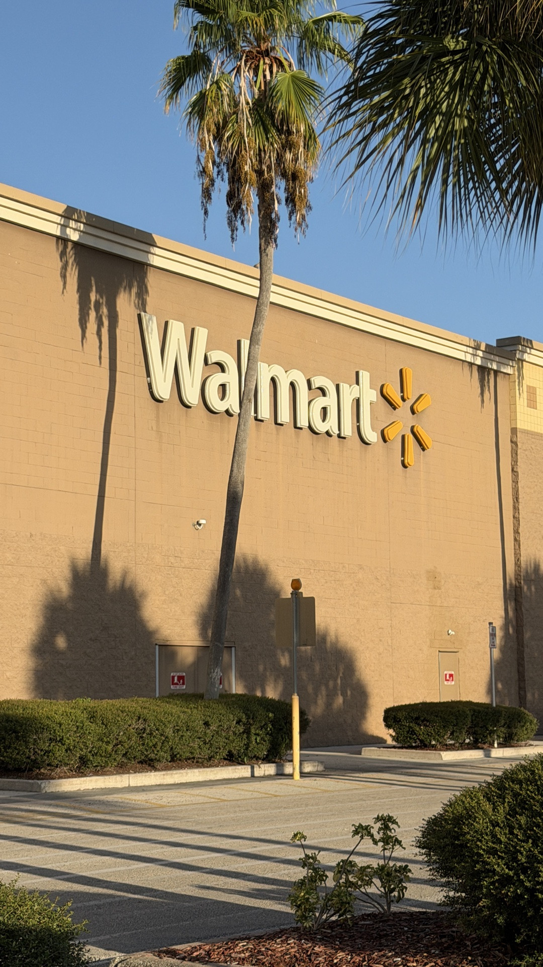@walmart home finds that have me absolutely shook!

Walmart home, Walmart finds, decor, home,

#LTKSeasonal #LTKHome #LTKSaleAlert
