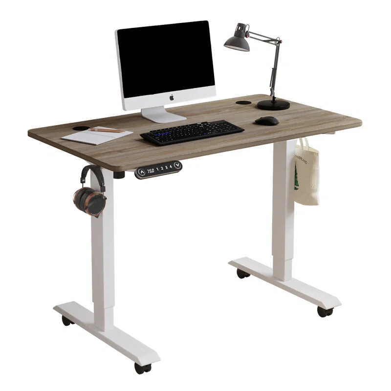 Fanchon 47.24'' Height Adjustable Standing Desk | Wayfair North America