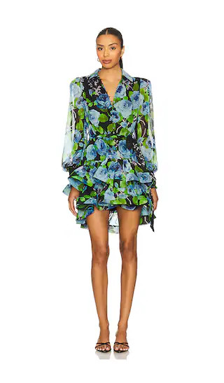 Briony Long Sleeves Mini Dress in Black Multi | Revolve Clothing (Global)
