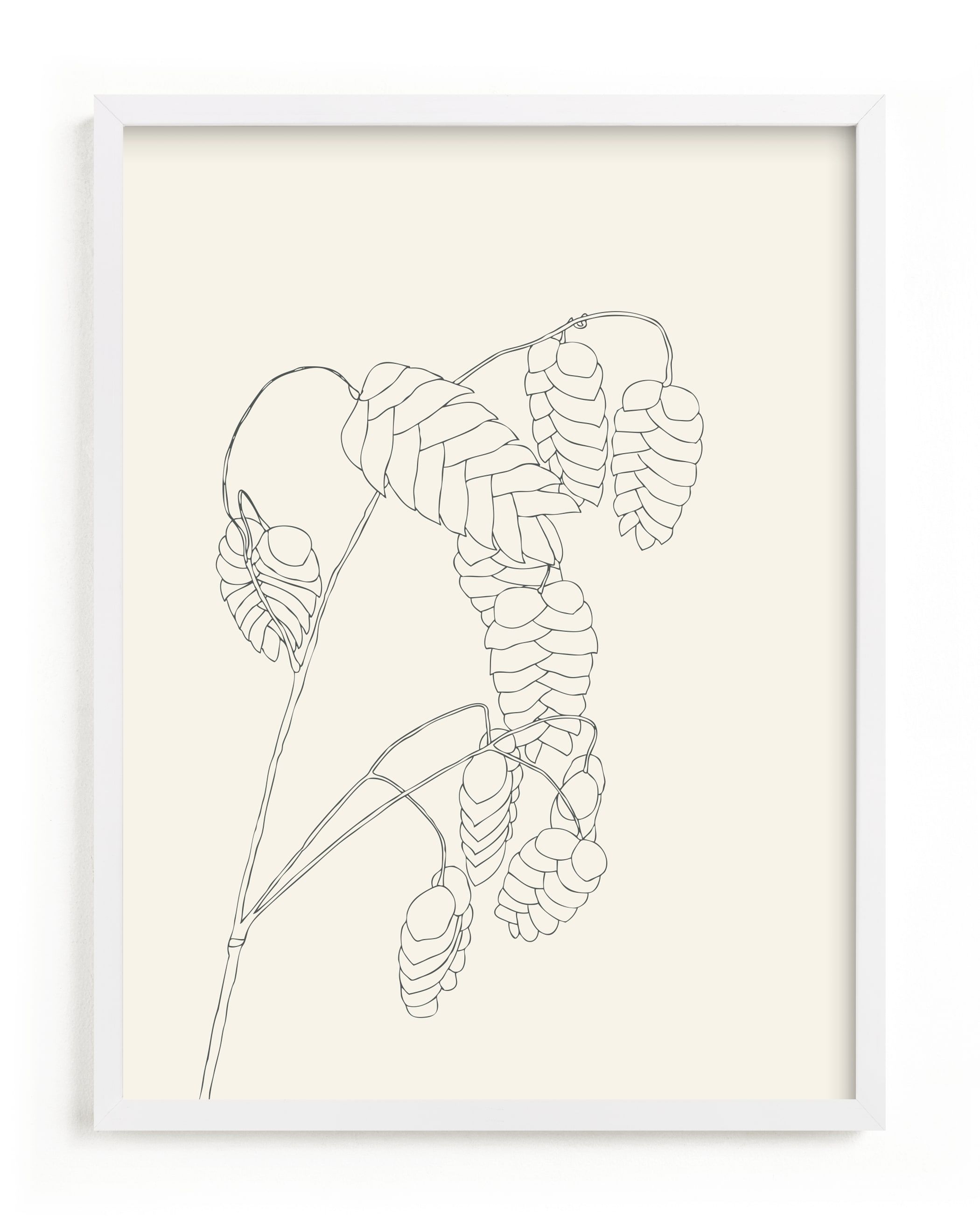 "Grass With Seeds" - Drawing Limited Edition Art Print by Jorey Hurley. | Minted
