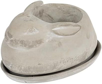 Creative Co-Op Cement Rabbit Planter with Saucer (Set of 2 Pieces) | Amazon (US)