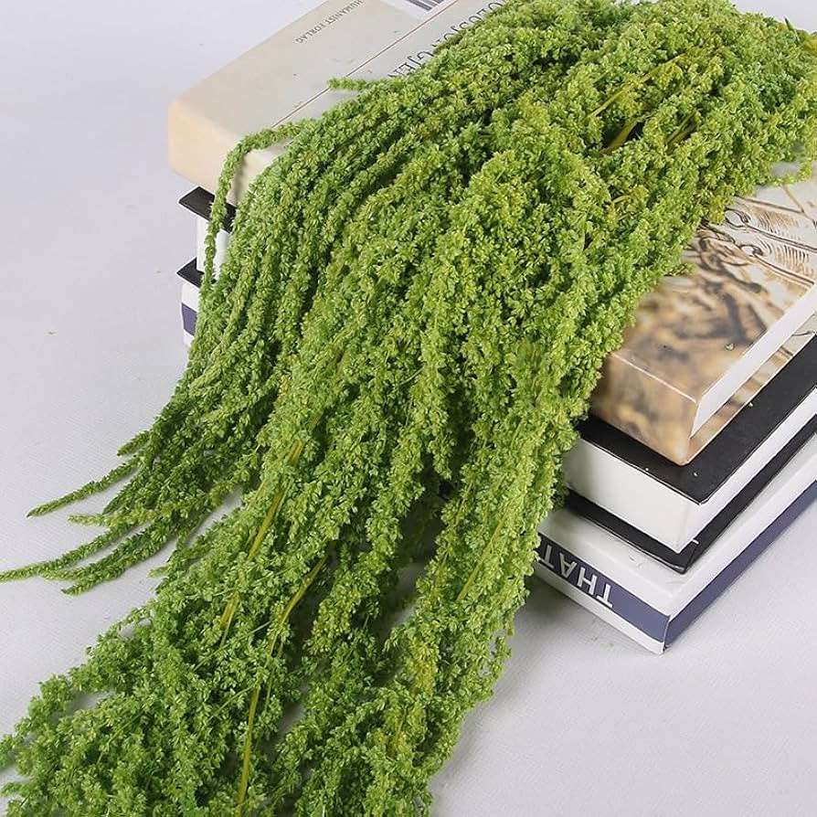 JUNY 5Pcs Bleached Wisteria Vine Hanging Flowers, Preserved Dried Amaranthus for Wedding Bouquet,... | Amazon (US)