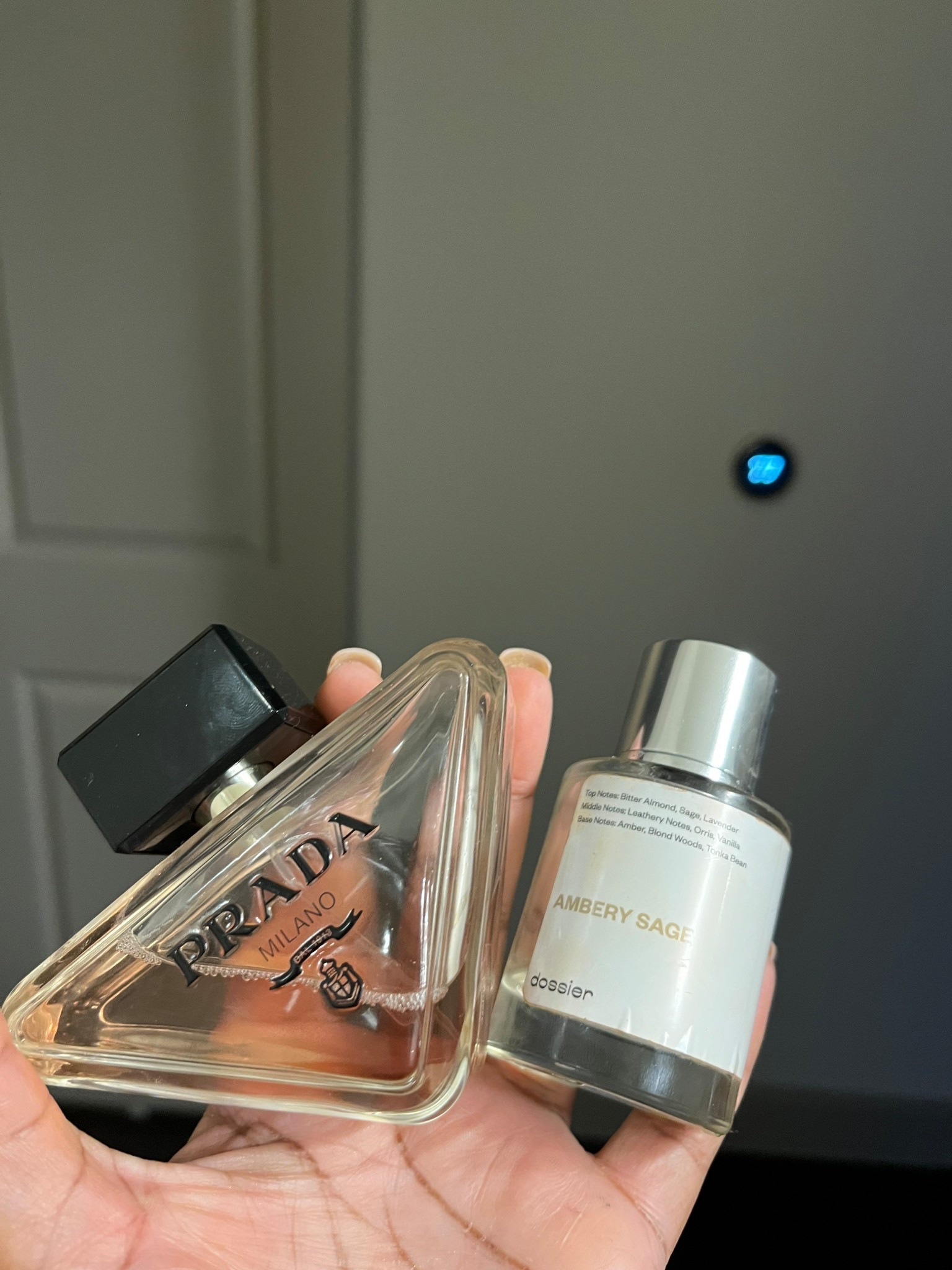Scent of the day affordable +Luxe 