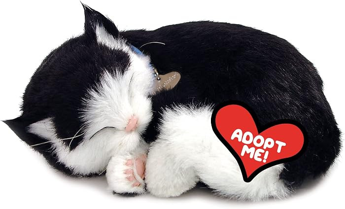 Perfect Petzzz Original Petzzz Black and White Shorthair Kitten Plush, Realistic, Life-Like Stuffed Interactive Plush Toy, Electronic Pets, Companion Pet Dog with 100% Handcrafted Synthetic Fur | Amazon (US)
