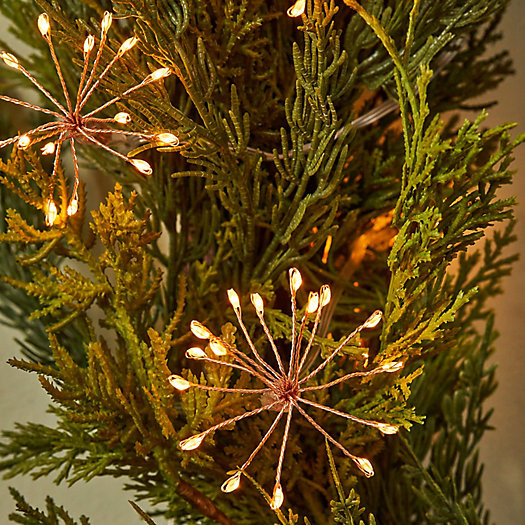 Stargazer Northstar Twine Lights | Terrain