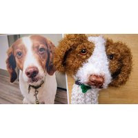 Custom Dog Golf Club Cover Personalized Pet Portrait Gift | Etsy (US)