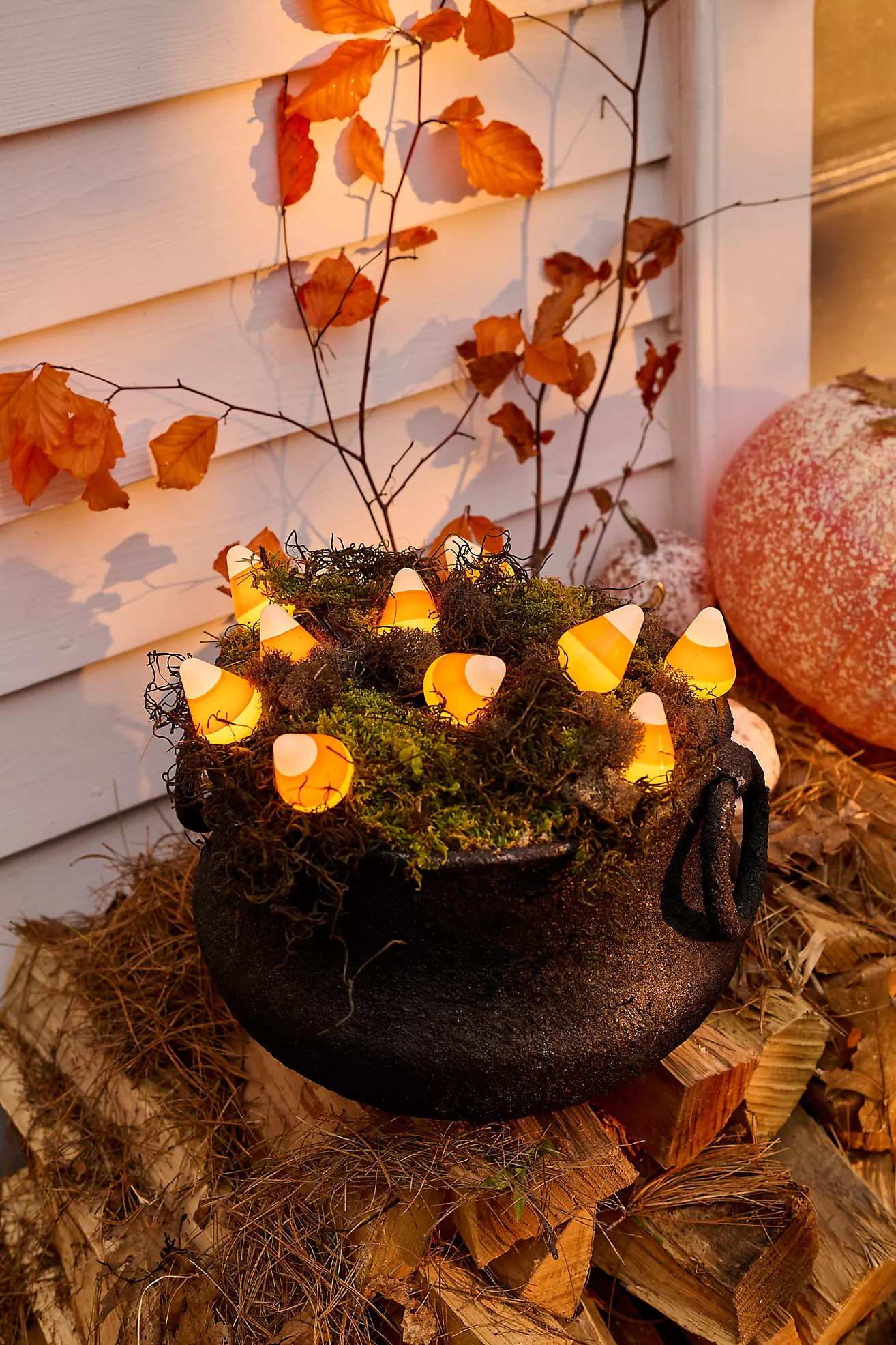 Spooky Preserved Moss Collection | Terrain