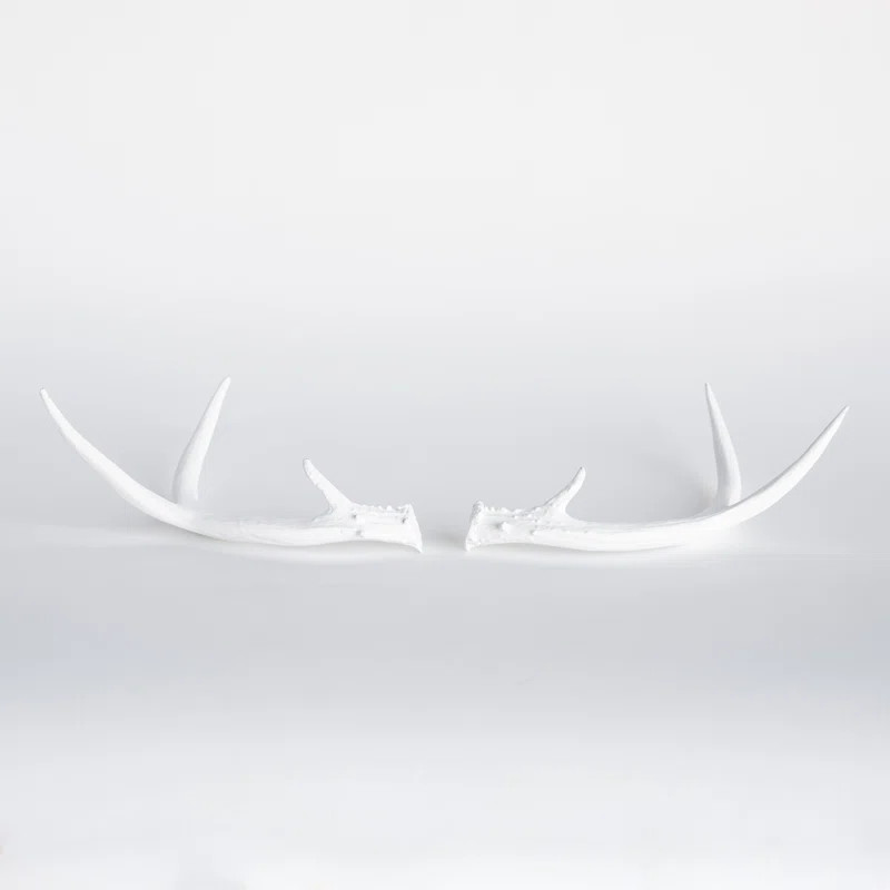 Faux Taxidermy Table Top Antler Shed Wall Décor | Wayfair North America