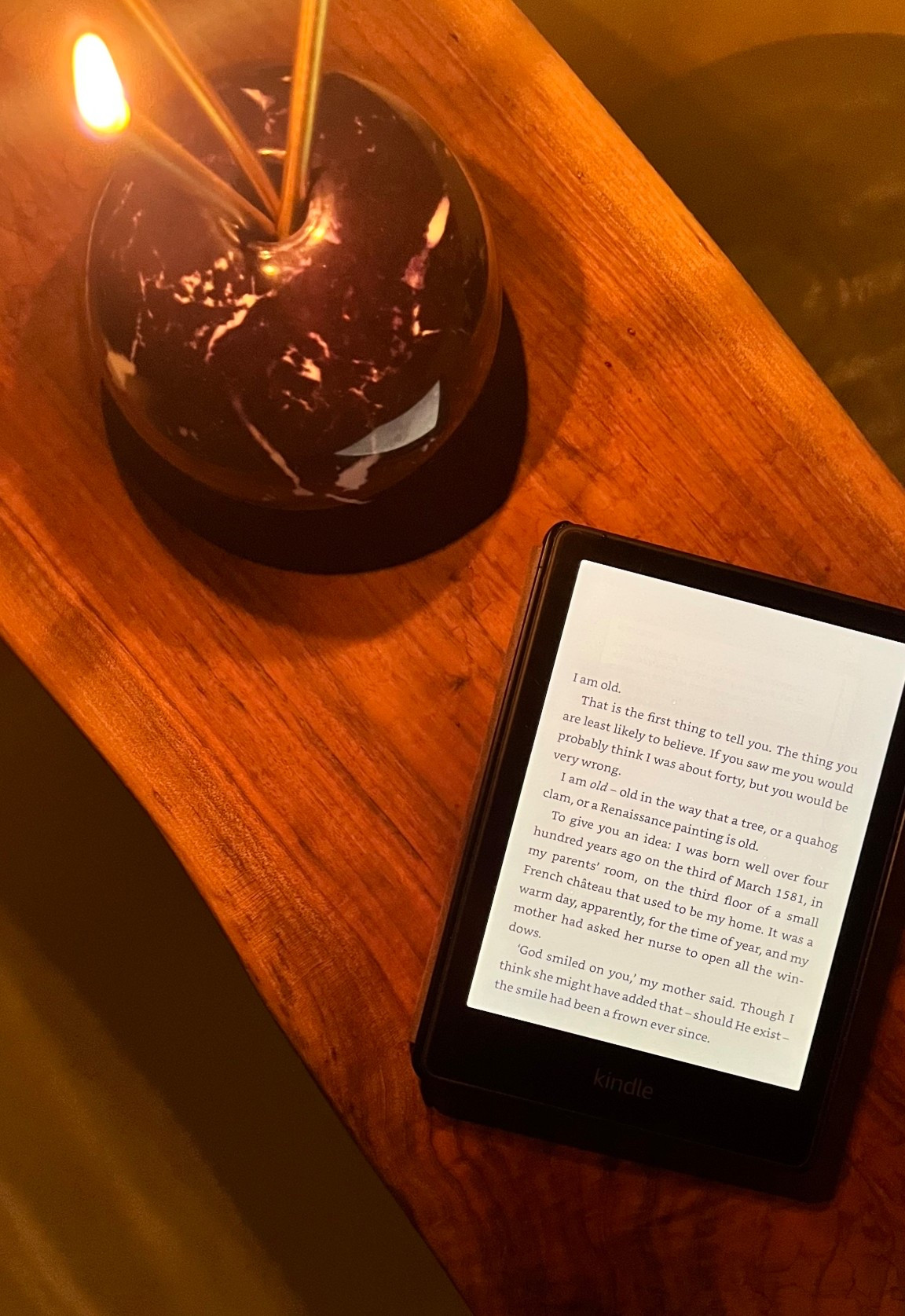 New year, new book.

Here’s hoping I can get a little closer to my reading goal this year!

And here’s to more cozy bath nights with my kindle and a candle'

#LTKselfcare #LTKdayinmylife #LTKHome