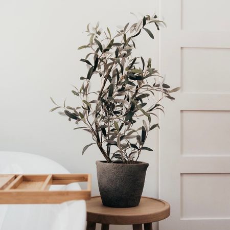 Faux Plants For Your Home

#LTKhome #LTKfamily