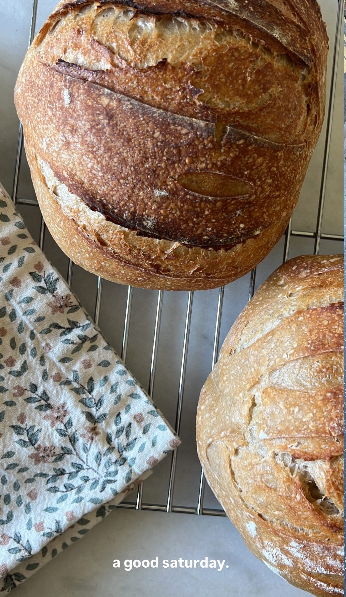 Perfect Saturday at homee

#LTKHome #LTKdayinmylife #LTKfoodie