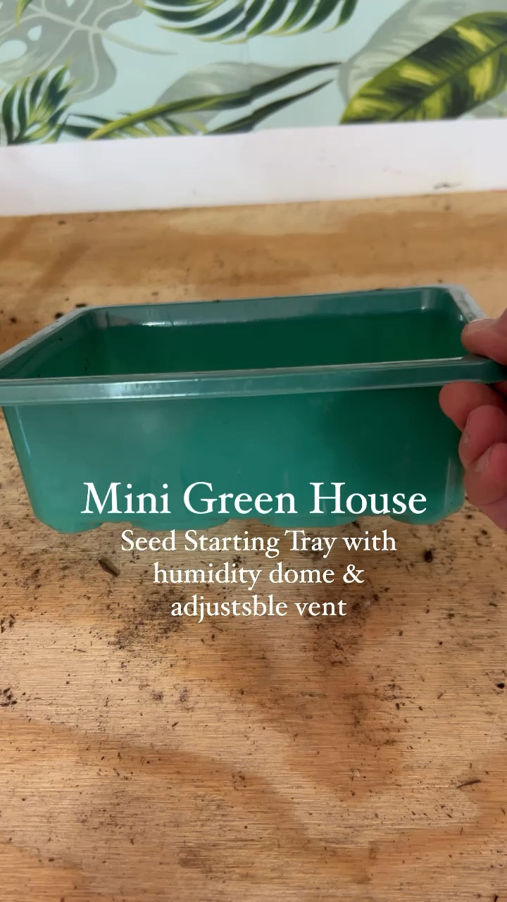 Gardening & Seed starting favorite! This is a great set of 10 seed starting trays to get you started & have been my go to for several years. Just add seeds, seed starting mix, heat mat , grow light & you're ready to grow ! These are 20%  off right now 🎉

#LTKhome #LTKSeasonal #LTKsalealert