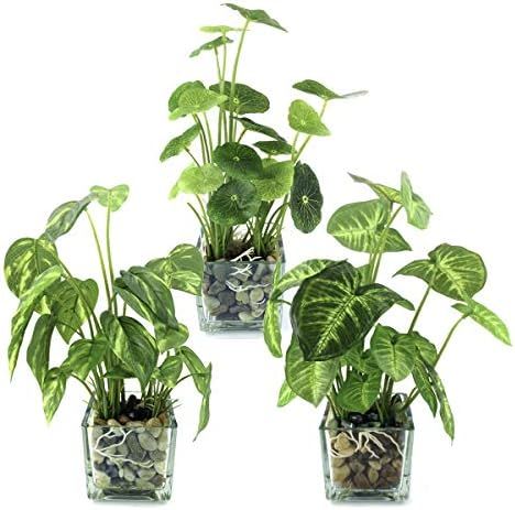 4pcs Small Fake Plants Potted Artificial Mini Fake Plant Set Greenery Evergreen Lotus Leaf Clover Lu | Amazon (US)