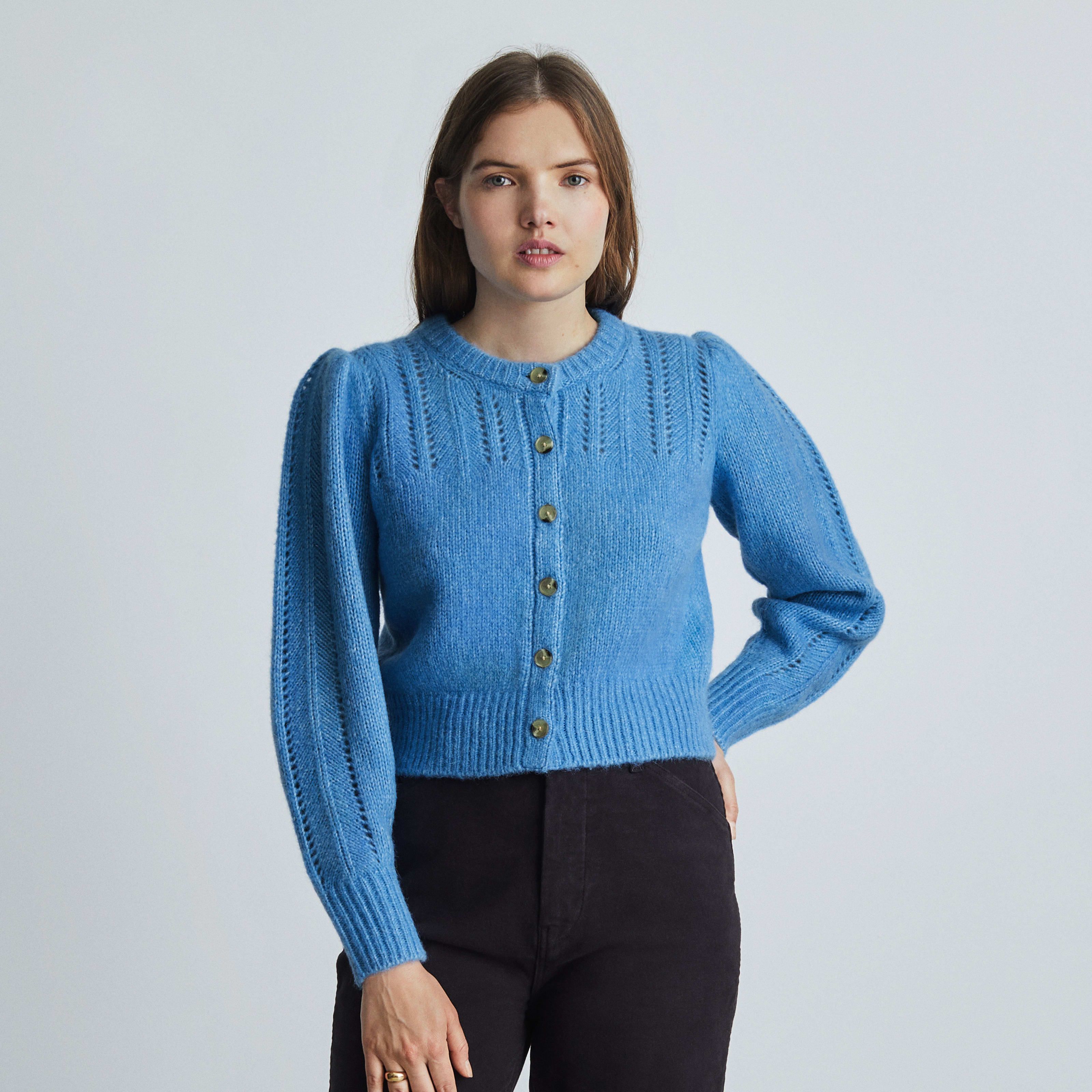 Women's Cloud Cardigan by Everlane in Lake, Size L | Everlane