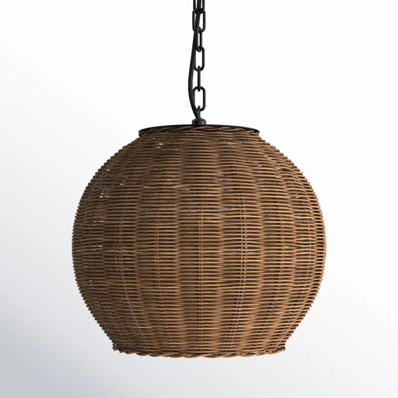 Beachcrest Home™ Folsom Black 1 -Bulb Outdoor Pendant | Wayfair | Wayfair North America