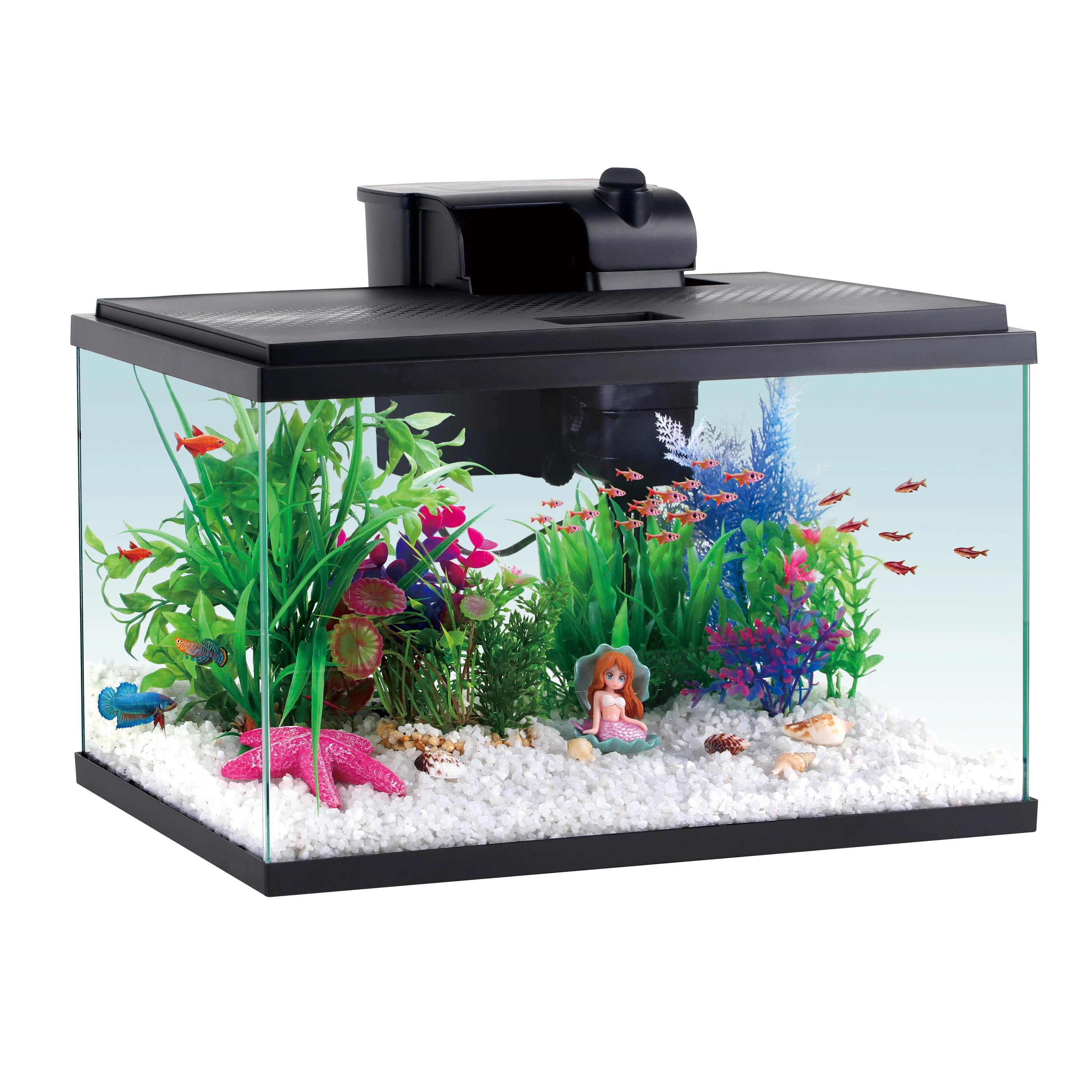 Aqua Culture 5 Gallon Glass Aquarium Starter Kit | Walmart (US)