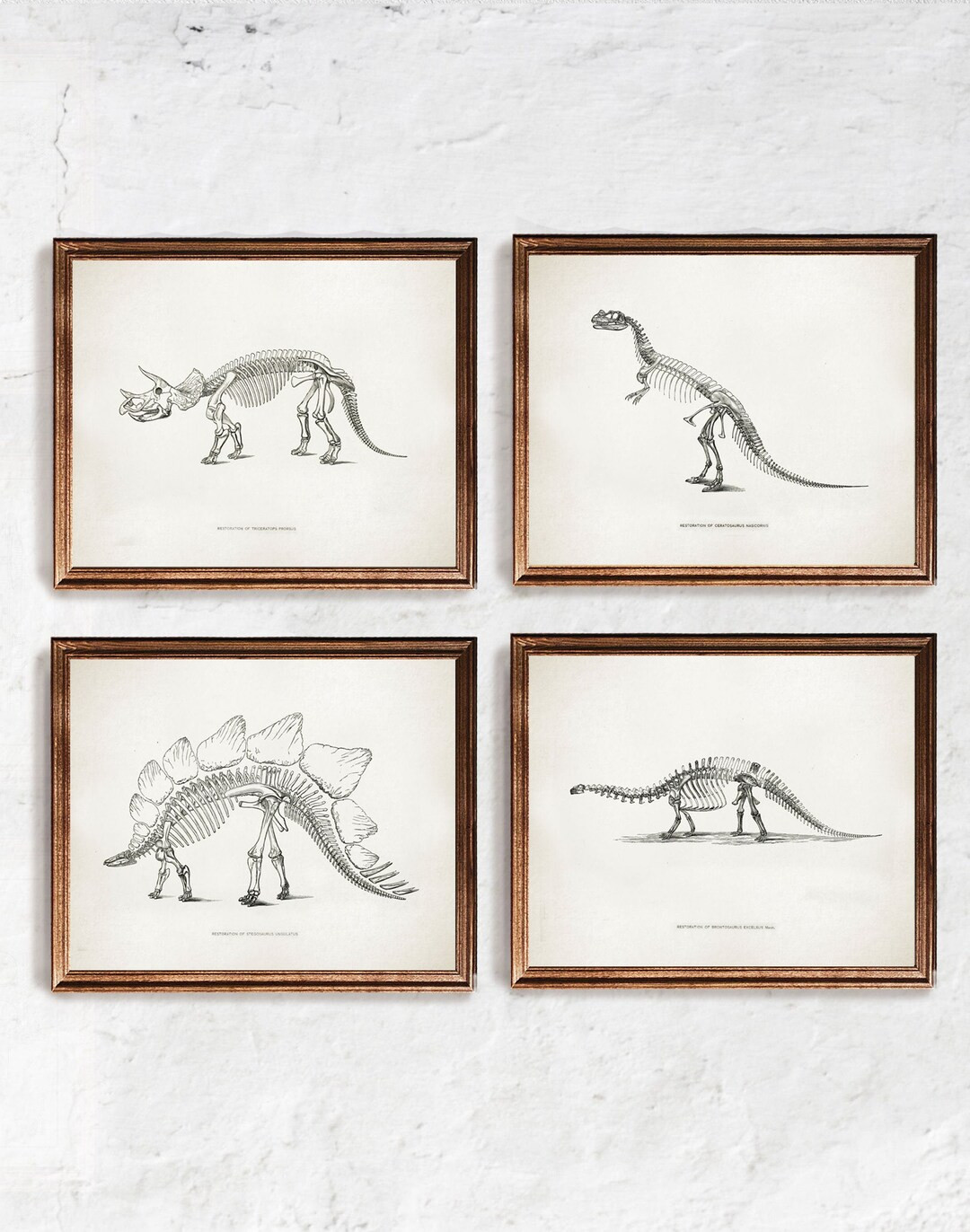 Dinosaur Print - set of 4, Paleontology poster, Extinct animal vintage wall art, Dinosaur skeleto... | Etsy (US)