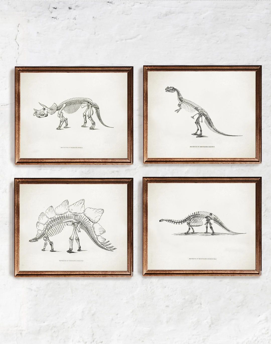 Dinosaur Print - set of 4, Paleontology poster, Extinct animal vintage wall art, Dinosaur skeleto... | Etsy (US)