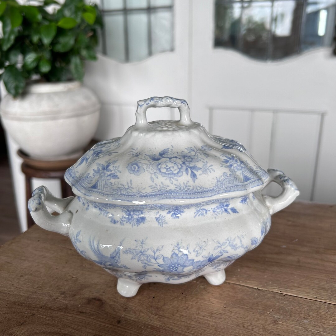 Antique Ironstone, English Blue and White Asiatic Blue and White Tureen, Blue and White English I... | Etsy (US)
